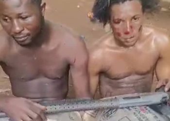Two men with gun arrested in Anambra for stealing bitter kola