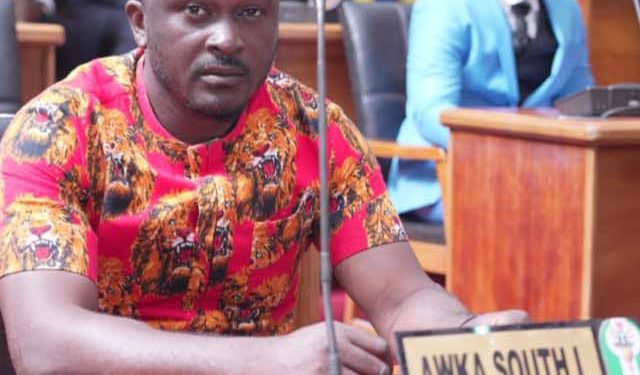 LP Lawmaker urges Soludo to conduct LGA elections to reduce crimes, insecurity