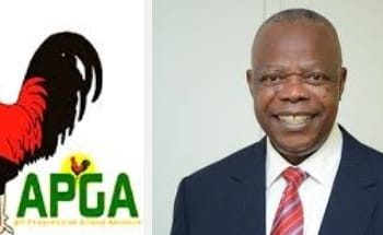 I’m pillar of APGA, but I’ll support Ifeanyi Ubah of APC – Peter Umeadi