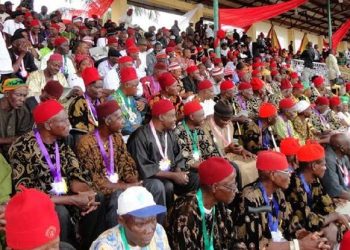 Why Igbo youths’ are rushing to join native doctors’ business