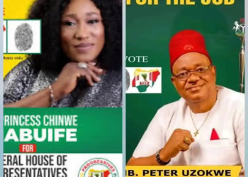 Hon. Nnabuife Goes for Thanksgiving, As YPP Sweeps Anambra Re-run Elections in Two Federal Constituencies