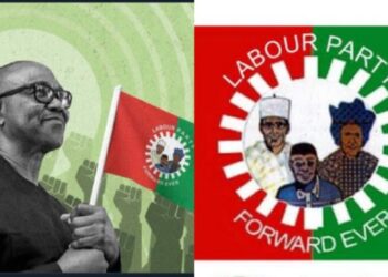 Labour Party moves national Convention to Nnewi amidst crisis