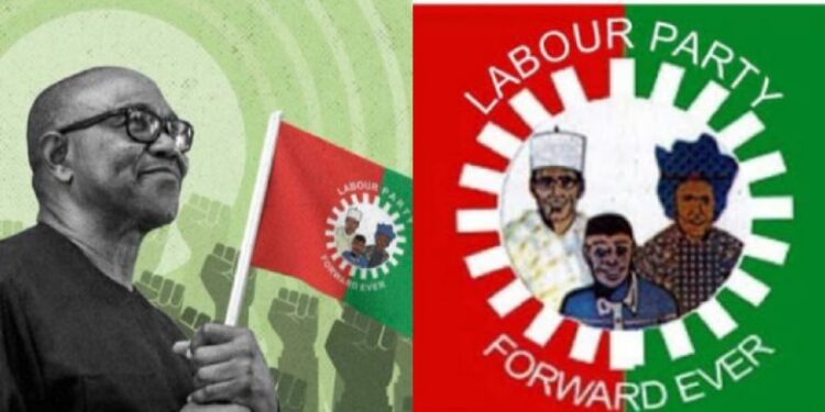 Labour Party moves national Convention to Nnewi amidst crisis