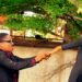 See How Anambra Blogger proposed to his beautiful Girlfriend in a Garden