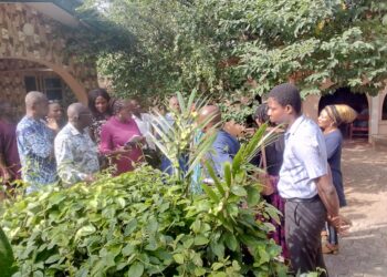 Anambra Varsity To Commence the Teaching of Herbal Medicine