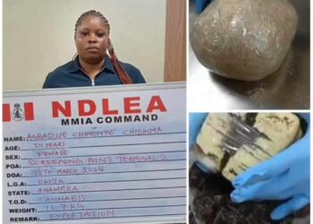 NDLEA Foils Attempt to Smuggle Drugs to Qatar Disguised as African Salad and Dried Vegetables