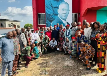 Havard-Trained Toy Maker, Orajiaka Joins Anambra Guber Race