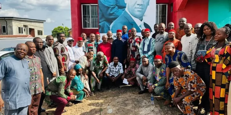 Havard-Trained Toy Maker, Orajiaka Joins Anambra Guber Race