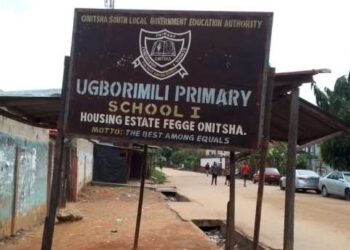 Please, Take Over Ugborimili Primary School for Peace to Reign — Fegge Residents Urge Anambra Govt