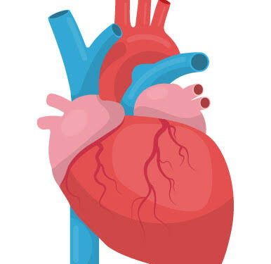 Obijackson Sponsors 50 Nigerian children for life-saving heart surgeries