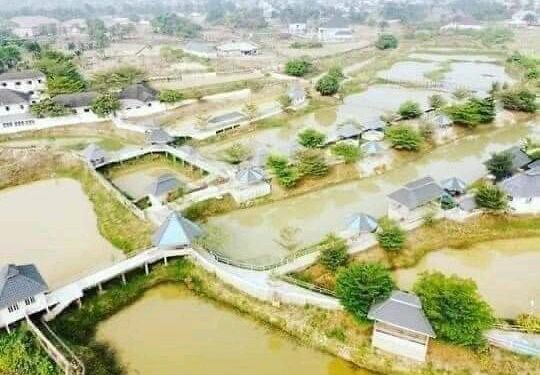 Osummanu Fish Farm and Resort in Anambra: A Powerful Combination of Fish Farm and Tourist Destination.