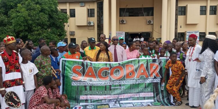 SIBRED: UNIZIK VC excited over growing attention of bamboo, rattan resources in Sahelian Africa countries