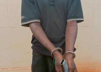 Notorious cultist nabbed with pistol, 4 live ammunition in Anambra
