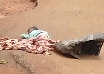 Anambra Police recover abandoned dead baby as CP order investigation