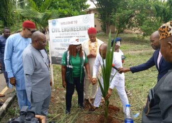 Erosion: Fed Poly Oko launches tree planting campaign, seeks govt support