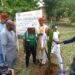 Erosion: Fed Poly Oko launches tree planting campaign, seeks govt support