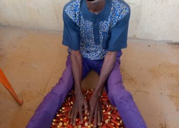 Police arrest 48-year old gun runner, recover 375 cartridges in Anambra