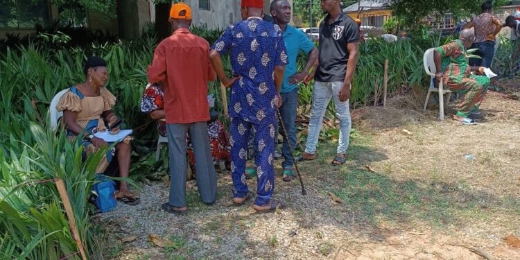 Free distribution of over 1 million seedlings begins in Anambra