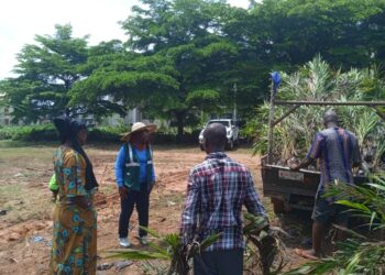 Agric Ministry monitors free distribution of 1m eco trees
