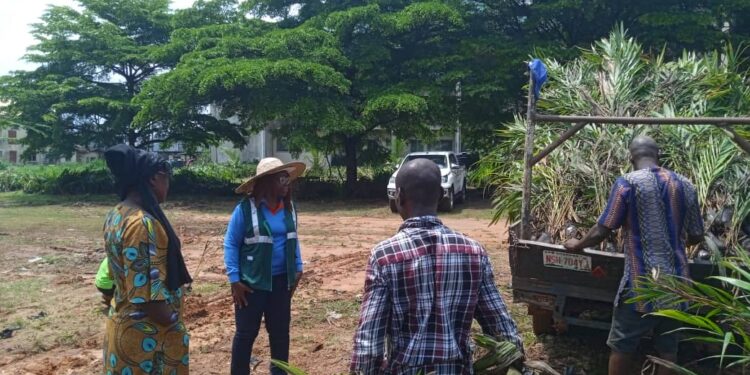 Agric Ministry monitors free distribution of 1m eco trees