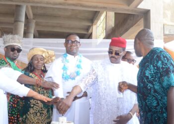 Anambra Man Who Was in the Seminary for 17 Years Finally Ordained a Priest, Dr Godwin Maduka Rejoices