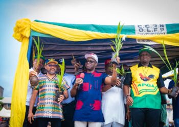 Soludo Distributes Over One Million Seedlings In Onitsha