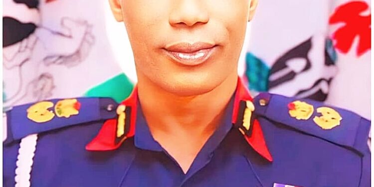 Insecurity: We must stay ahead of criminals – NSCDC boss tells Intelligence Officers