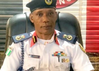 Protest: Consider alternative ways to vent your anger – NSCDC urges protesters