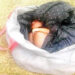 Abandoned Baby Found Dead On Anambra Church Premises