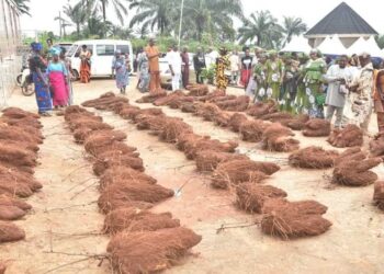 Catholic Priest Donates 70 Tubers of yam from his farm to Church