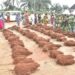 Catholic Priest Donates 70 Tubers of yam from his farm to Church