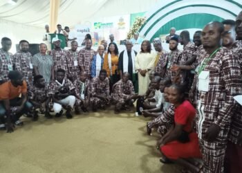 Building collapse: Nwifuru seeks legislative protection of building profession