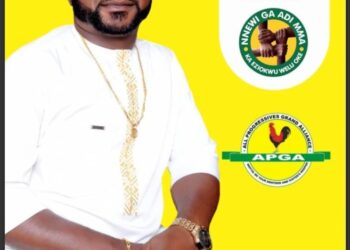 I’ve the passion to develop all nooks and crannies of Nnewi North LGA – Adili-Ubah, APGA Chairmanship hopeful
