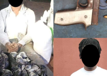 Police nab 2 suspects, recover large quantity of gunpowder concealed in bag of garri