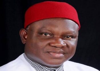 LG poll: Only legitimate winners will be sworn in – Chekwas Okorie warns Soludo