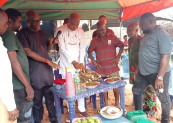 New Yam: Empower Youths For Mechanized Farming – PG Urges Govt