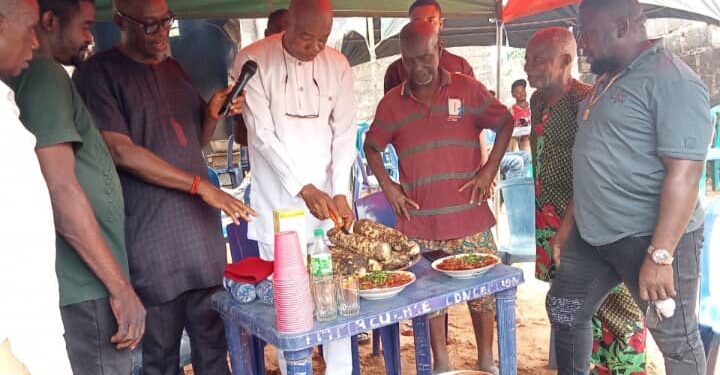 New Yam: Empower Youths For Mechanized Farming – PG Urges Govt