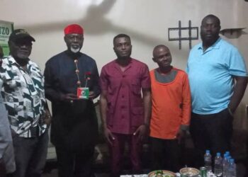 Moghalu joins LP as party says ex-APC chieftain will boost future elections chances