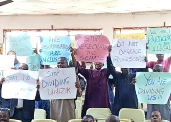 Unizik Crisis: Senate Disagrees With Greg Mbadiwe-led Governing Council