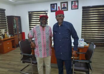 Tax payment critical for quick realization of Soludo’s ambitious plan – Mefor