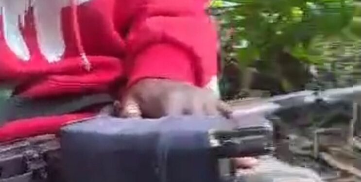 Police begin investigation over video/voice notes violence threats in Anambra