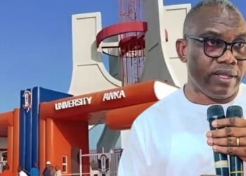 Tinubu May Sack UNIZIK Governing Council Over Controversial VC Appointment