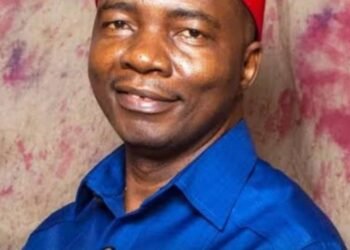 Anambra Billionaire Gets Endorsement From 3 Major Parties in Anambra To Replace Ifeanyi Ubah