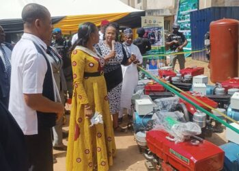 Anambra First Lady distributes starter packs to youths, flags off agric processing equipment distribution