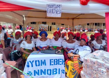 Write will to protect your family, US-based Anambra born doctor counsels men