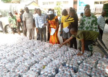 Dry Season Farming: Anambra flags off distribution of 60,000 organic fertilizers