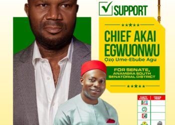 I’m going to Senate to change “politicians’ unfaithfulness” syndrome – Egwuonwu