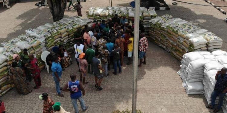 Christmas: Nwoye distributes bags of rice, doles out over N200m to constituents