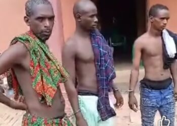 3 Arrested, As Herdsmen Engage Udo Ga-Achi Operatives in Gun Battle inside Anambra Bush