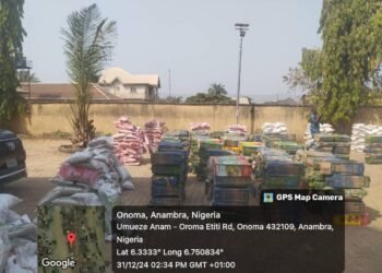 Anambra lawmaker distributes 3,000 bags of rice, 900 bags of fertilizers, farming tools to constituents
